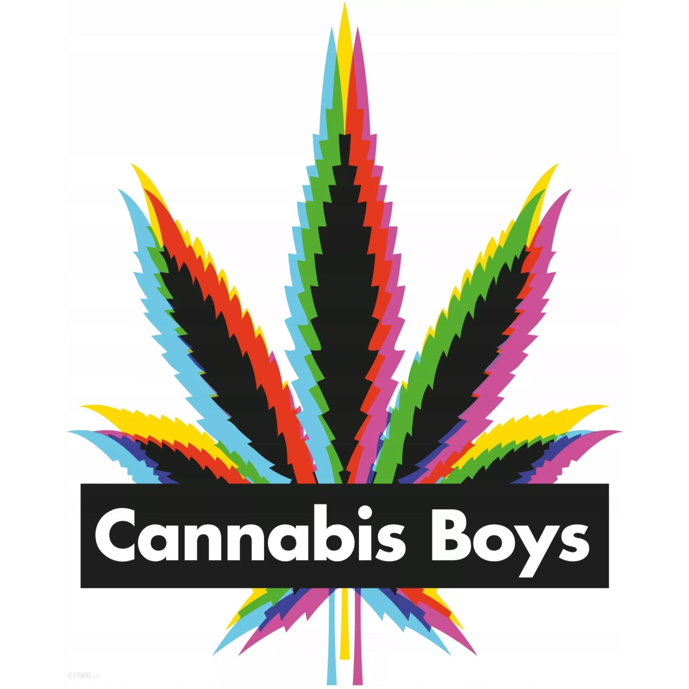 cannabis boys - logo1