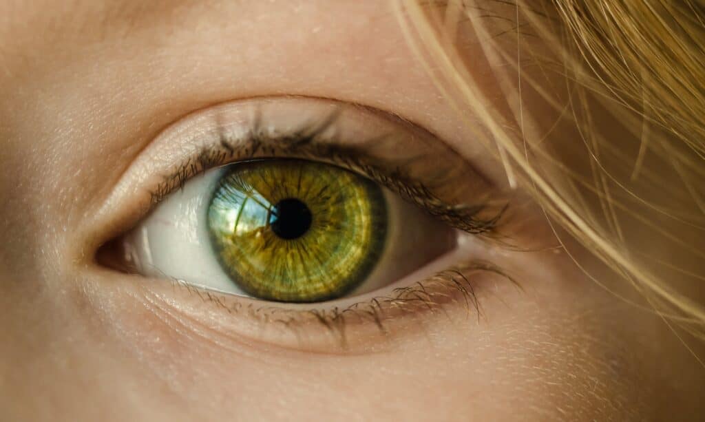 Czy CBD pomoże na choroby oczu?